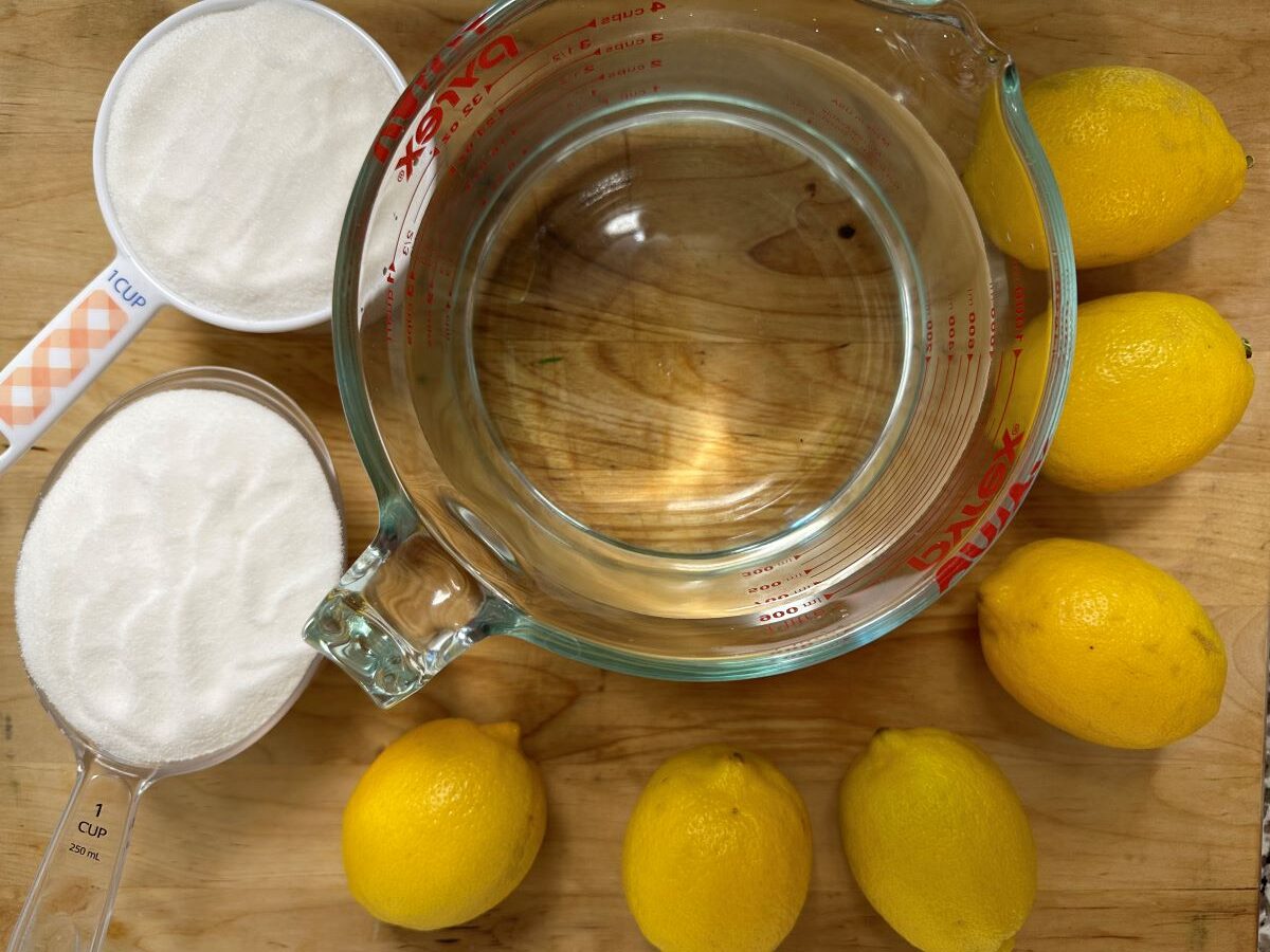 Easy Fresh Squeezed Lemonade Recipe Real Life of Lulu