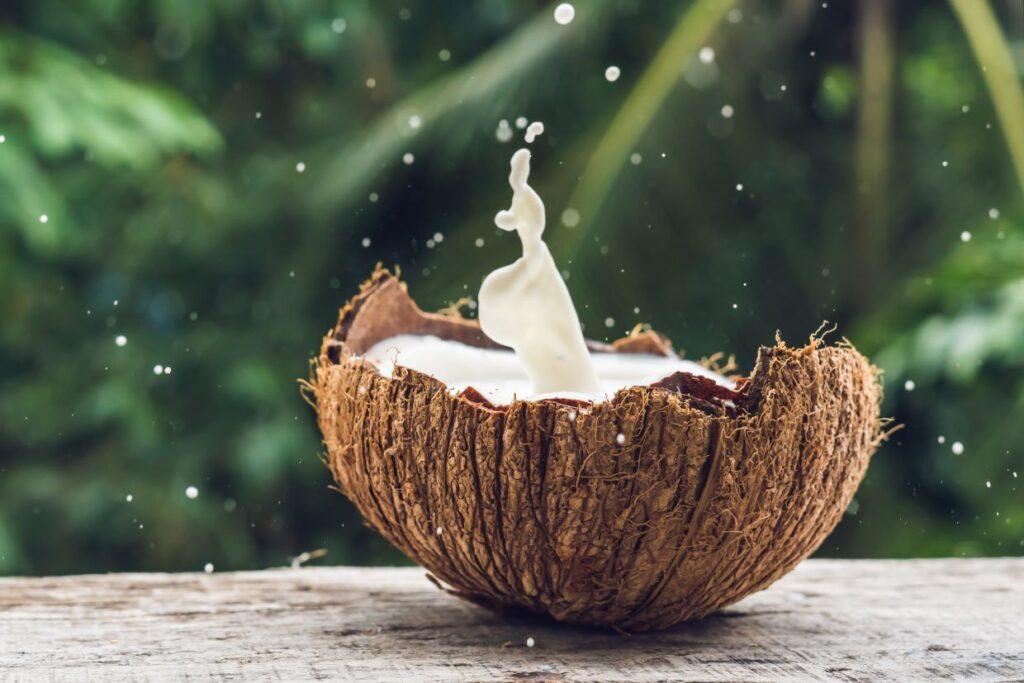 Coconut cream splashing out of half of a coconut shell.
