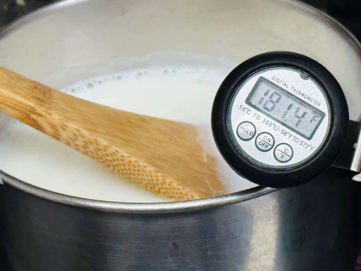 Old-Fashioned Black Bottom Pie Recipe - Real Life of Lulu