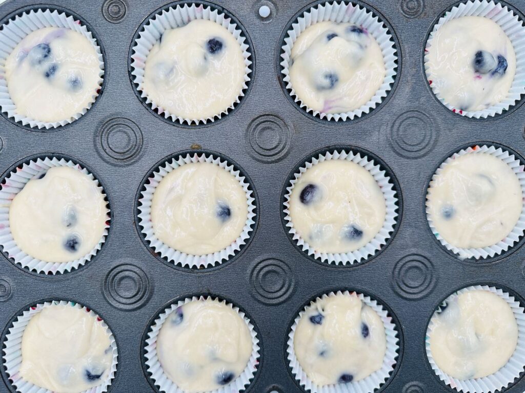 Blueberry batter in muffin tin.