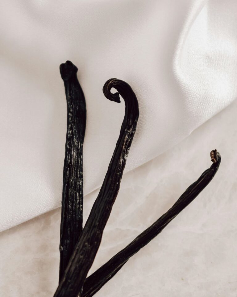 Black vanilla beans on white background.
