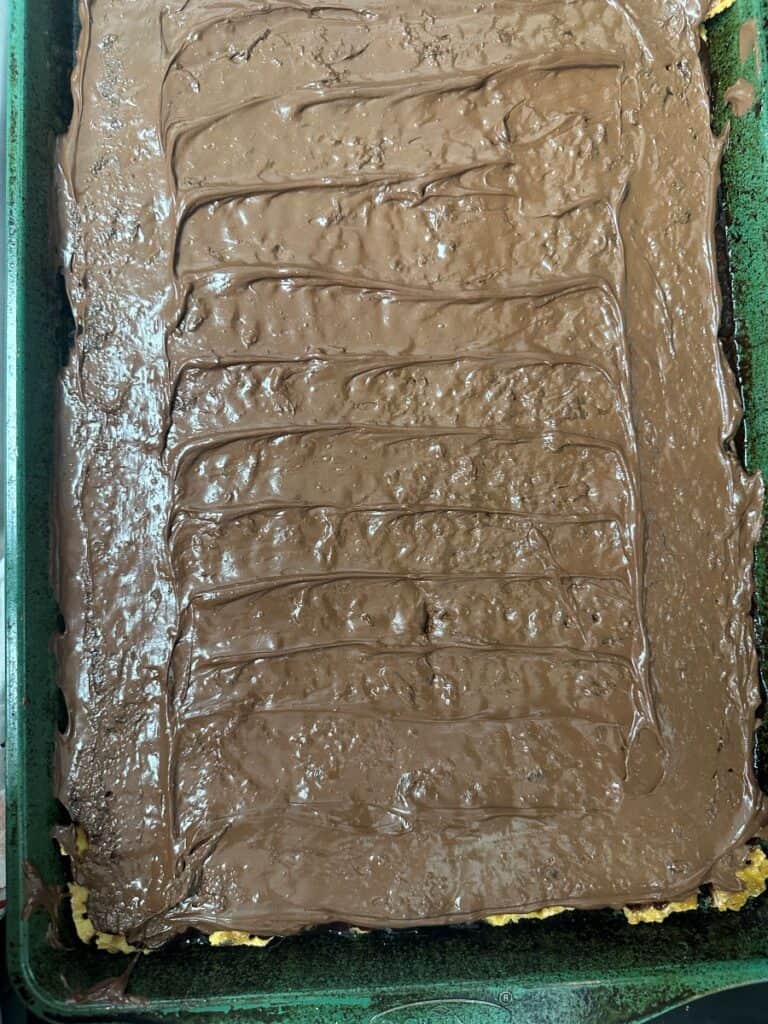 Melted chocolate chips melted on top of saltines.