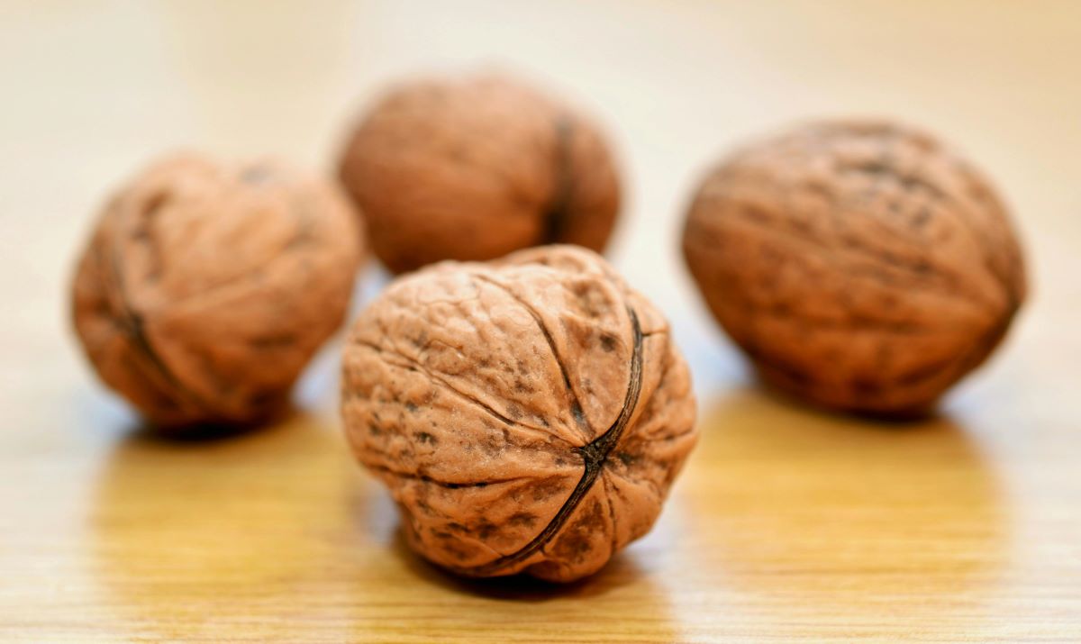 Close up of whole walnuts in shell on wooden board.