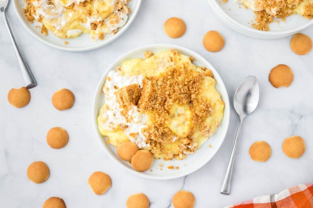 Overhead view of one serving of banana pudding on white plate.