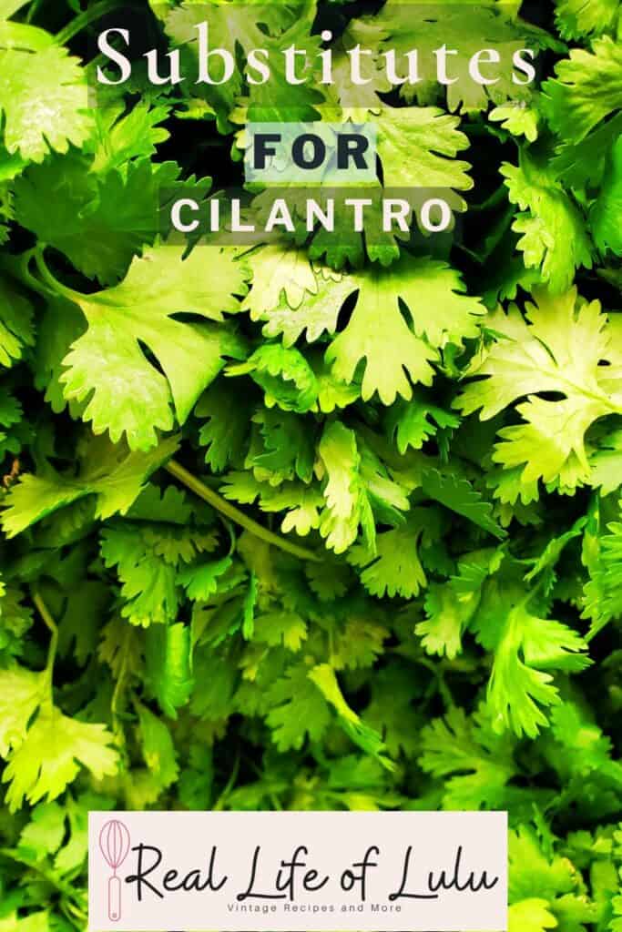 Pinterest pin for Cilantro Substitutes.