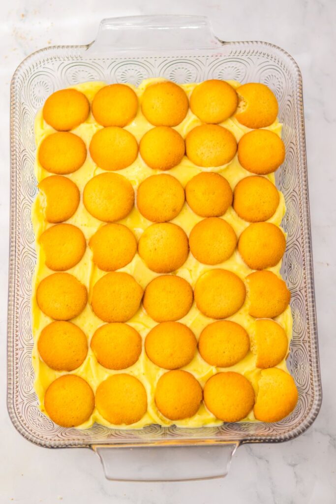 Vanilla wafer cookies on top of yellow pudding in rectangular glass pan.