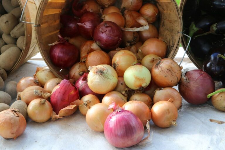 Wooden bucket on its side with onions spilling out.