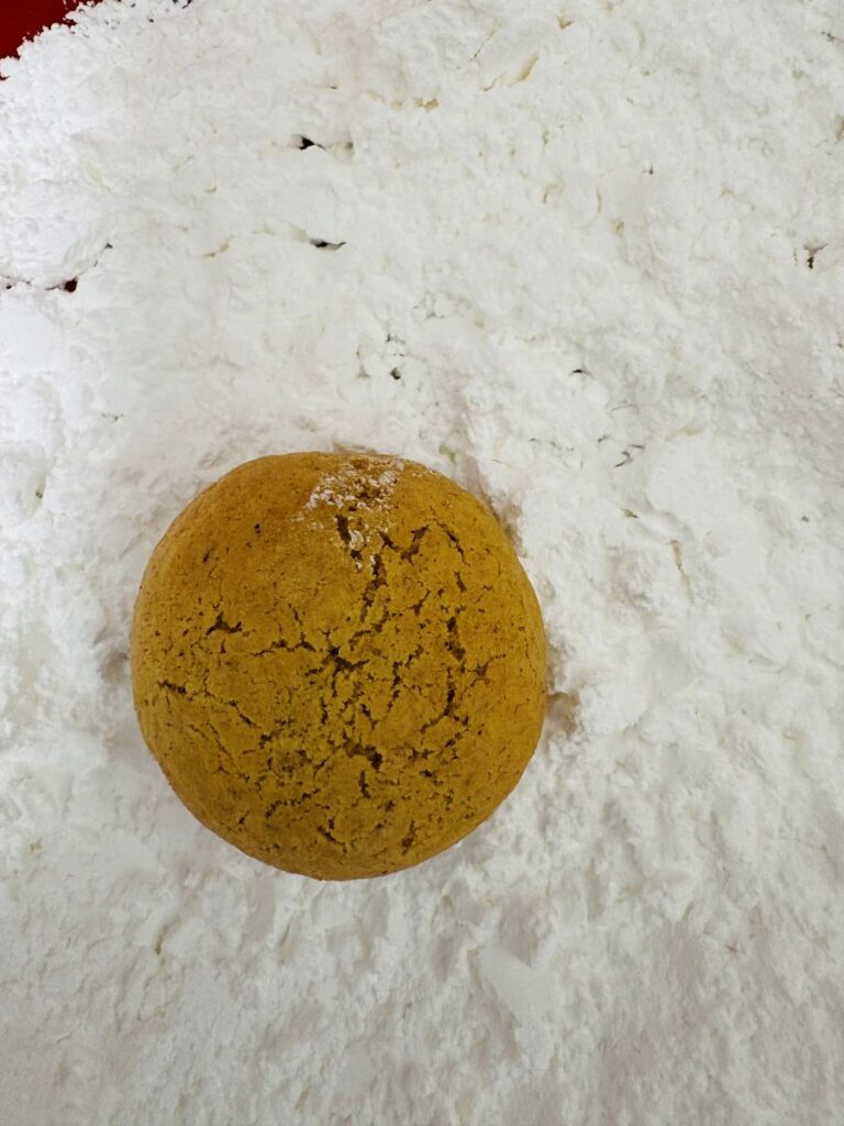 A round, golden-brown cookie with cracks on its surface sits on a bed of white powdered sugar.