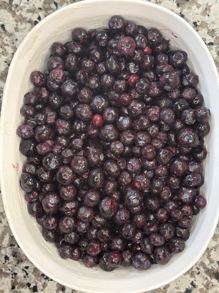 A white oval dish filled with fresh, shiny blueberries sits on a speckled granite countertop.