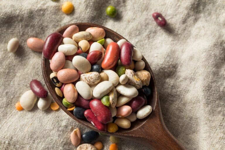 A wooden spoon filled with a colorful assortment of dried beans and lentils rests on a textured beige fabric background.