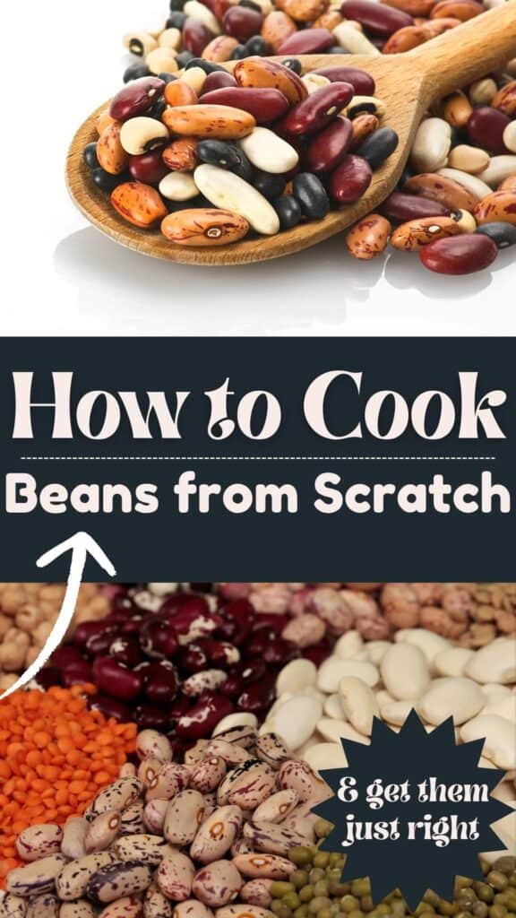 A wooden spoon filled with colorful dried beans sits above a text graphic that says How to Cook Beans from Scratch, with various beans and lentils displayed below and a label reading 8 get them just right.