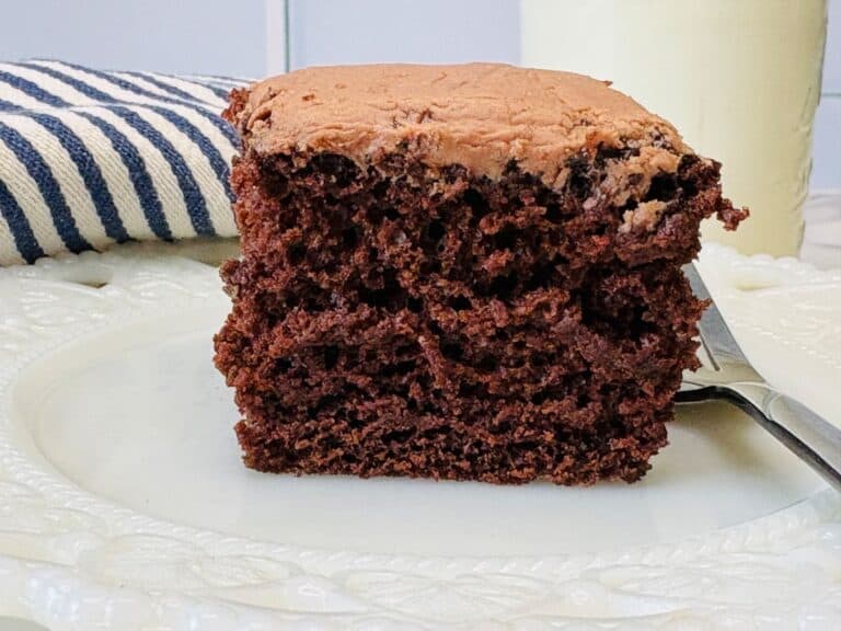 A thick slice of chocolate cake sits on a white plate with a fork beside it. A blue and white striped cloth is in the background.