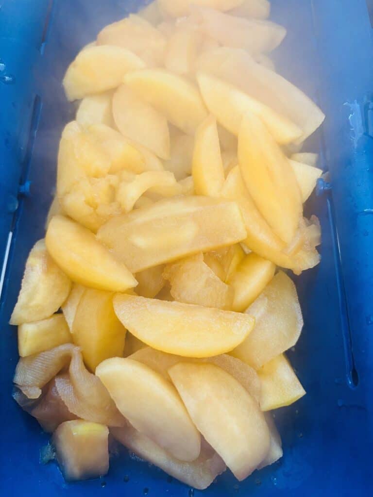 Sliced yellow peaches piled in a blue container, with some steam or haze visible over the fruit.