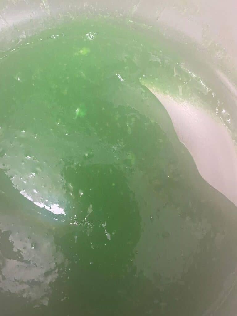 Bright green, translucent jelly-like substance spread unevenly in a container, with light reflecting off its glossy surface and some small white lumps visible within the mixture.
