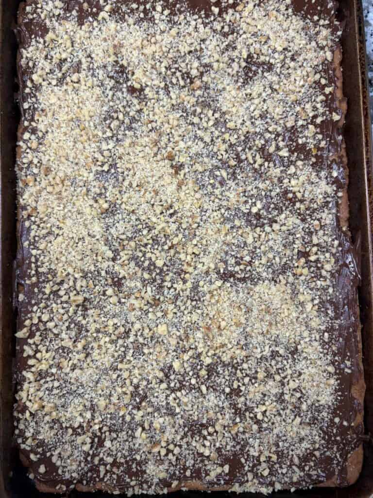 A rectangular tray of dessert topped with chocolate frosting and a generous layer of finely chopped nuts, covering the entire surface.