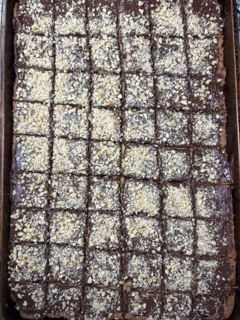 A tray of square chocolate bars topped with chopped nuts, arranged in a neat grid pattern.